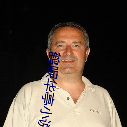 鹤(鶴)唳华(華)亭小说