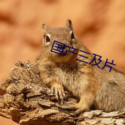金年会(中国)官方网站