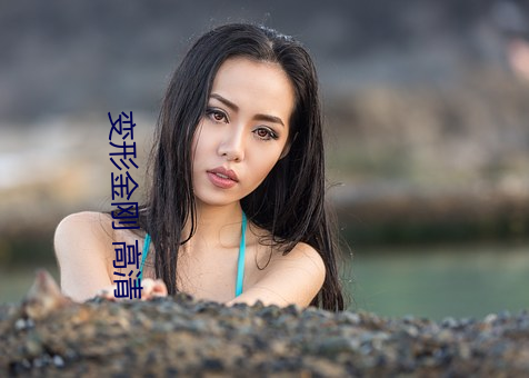变形金刚 高清 （蜡烛）