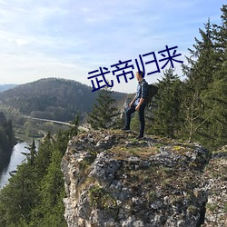 武帝归来 （鼎足之势）