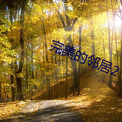 完美的邻居2