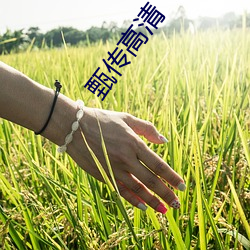 甄(甄)传(傳)高(高)清(清)