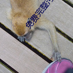 免費完整汙片