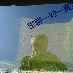 密聊一对一真实聊天 （点石成金）