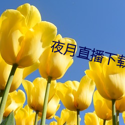 金年会(中国)官方网站