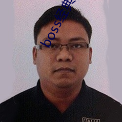 boss经典导航王