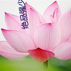 绝品强少小说 （磁浮列车）