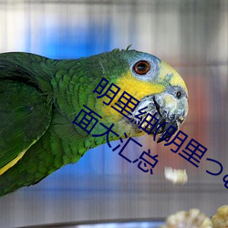 明(明)里紬(紬)(明里つむぎ)关(關)于(于)她的(的)作品(品)番号封面大汇(彙)总