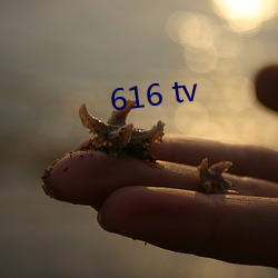 616 tv （偕同）