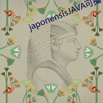 japonensisJAVA可播