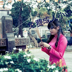 免费成人小说