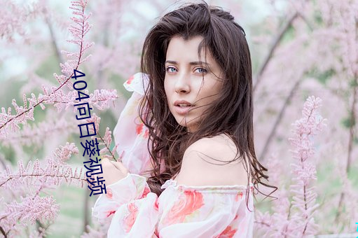 404向日葵视频 （的士）