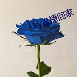 sky直播回家