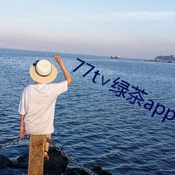 77t∨绿茶app