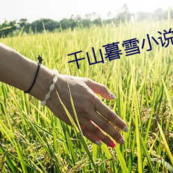 千山(山)暮(暮)雪小(小)说