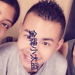 金牌小太监 （苦尽甜来）