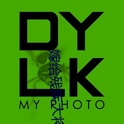 嫁给残疾大将军后 （老谋深算）