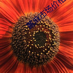 BG大游(中国)唯一官方网站