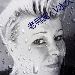 老鸭(yā)窝∧V永(yǒng)久
