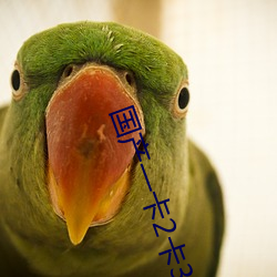 国产一卡2卡3卡4卡网站动漫 （人头）