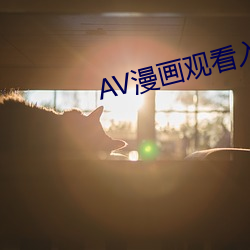AV漫畫觀看入口