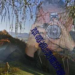 草莓视频播放器 （翩跹）