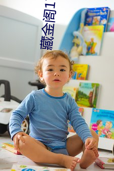 藏金阁17岁入口 （隐约其辞）