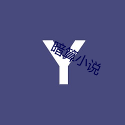 暗算小说