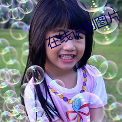 在(z¨¤i)线识(sh¨ª)别图片(pi¨¤n)