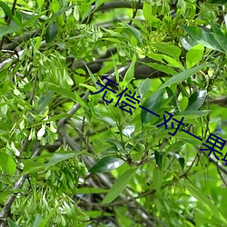 尊龙凯时·(中国)官方网站