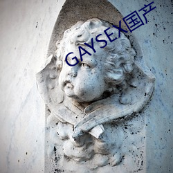 GAYSEX