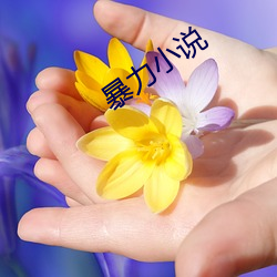 暴力小说
