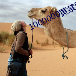 1000000黄禁用免费小(小)说