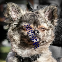 人生就是博·(中国区)官方网站