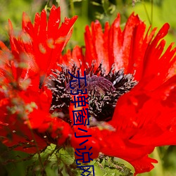 918博天堂·(中国)手机版客户端