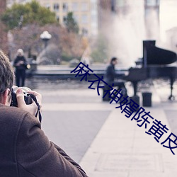 麻衣神婿陈黄(huáng)皮