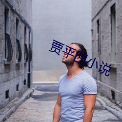 贾平凹小说