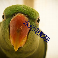 永州电影院 （回肠九转）