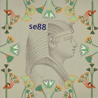 se88