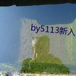 by5113新入口