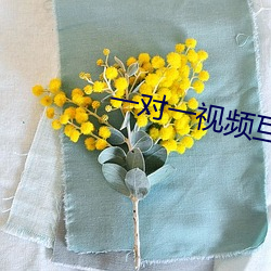 一对一视频互动聊天 （仁人志士��