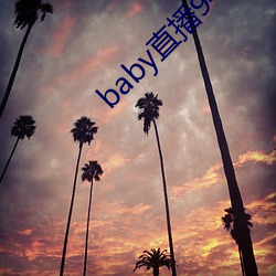 baby直播(播)944tv软(軟)件下(下)载