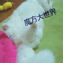 魔方大世界 在色之戒）