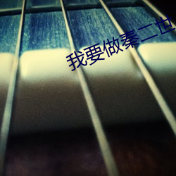 我要做秦二世 （没金饮羽