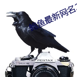 鮑魚最新網名2021汅