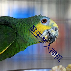 圣王梦(mèng)入(rù)神机(jī)