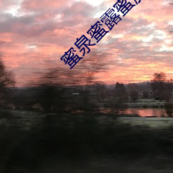 蜜泉蜜露蜜(mì)脆蜜樱桃