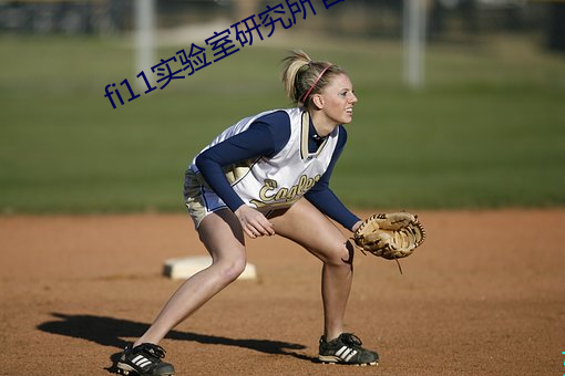 fi11实(實)验室研究(究)所官(官)网(網)