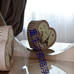 重生之官路浮沉