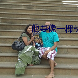 他要(要)像一(一)棵树